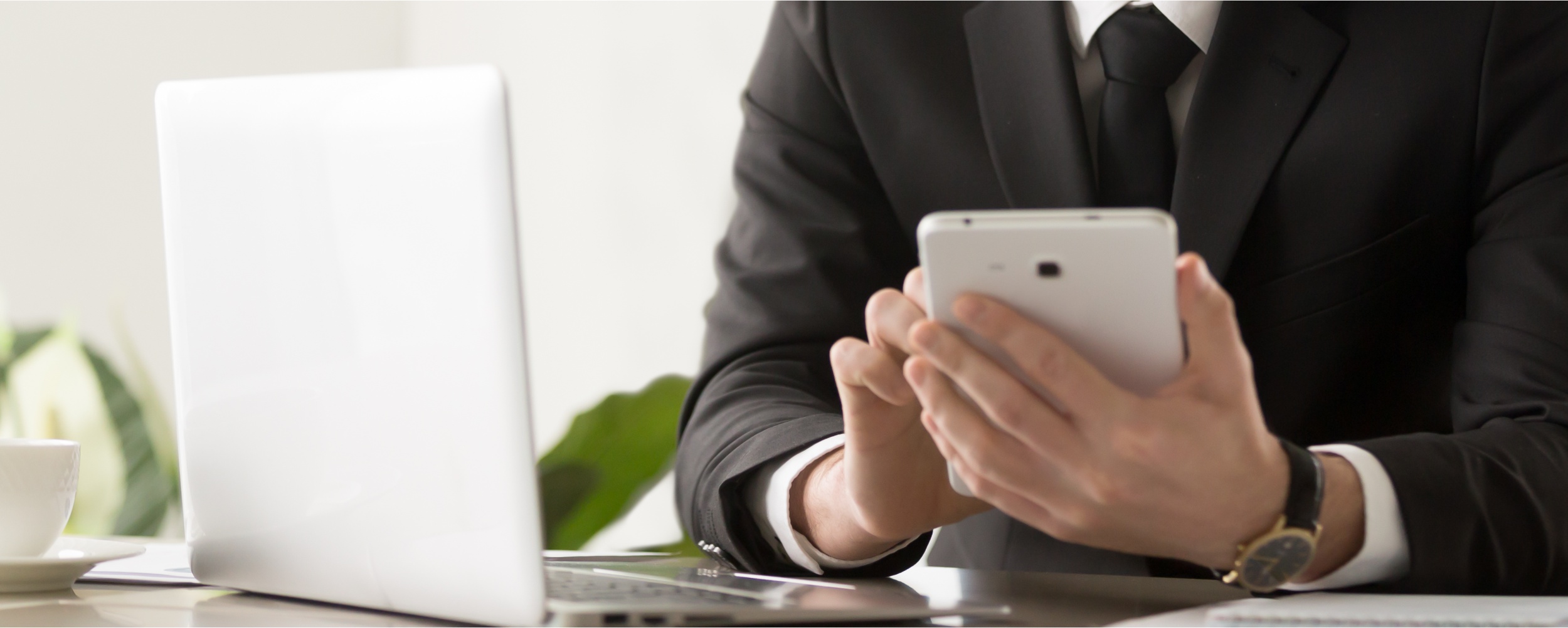 COMMERCIAL ALARM SYSTEMS